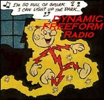 Dynamic Indie Radio Logo