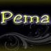 Pema FM Ngunut Logo