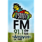 FM De Los Arroyos 91.1 Logo