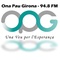 Ona Pau Girona 94.8 Logo