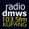 DMWS 103.5 FM KUPANG  Logo