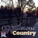 Wallstone Country Logo