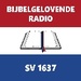 Bijbelgelovende Radio Logo