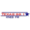 Texas 99.1 - KNES Logo