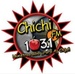 Chichi FM Logo