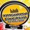 Rádio Vanguarda Educativa FM Logo