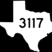 Radio 3117 Logo