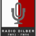 Radio Dilber 93 Logo