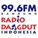 RDI 99.6 FM Logo