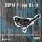 113FM Radio - Free Bird Logo