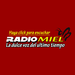 Radio Miel Puerto Rico Logo