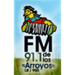 FM De Los Arroyos 91.1 Logo