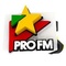 ProFM - ProFM Slagar Logo