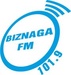 Radio BiznagaFM Logo