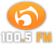Punto 5 FM 100.5 Logo