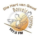 Bosveld Stereo Logo