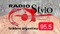 Radio Stylo 95.5 Logo