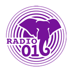 Radio 016 Logo