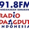 RDI FM 91.8 Logo