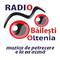 Radio Bailesti Oltenia Logo