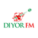 Diyor FM Logo