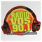 Radio Vos 90.1 Logo