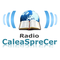 Radio Calea Spre Cer Logo