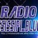Radio Mississipi_Blues Logo