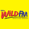 99.1 Wild FM - DXRT Logo