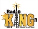 Radio King FM Logo