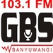 Radio GBS FM Logo