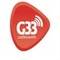 Rádio G33 Web Logo