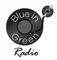 Blue-in-Green:RADIO Logo