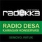 Radekka FM Logo