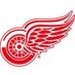 Detroit Red Wings Play by Play Logo