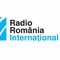 RRI 3 Logo