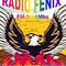 FM Fenix 91.1 Embarcacion Logo