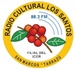 Radio Cultural Los Santos Logo