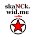 skaNCk.wid.me radio Logo