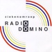 Radio Domino Logo