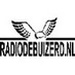 Radio Debuizerd Logo