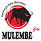 Mulembe FM Logo