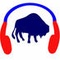 All WNY Radio Logo