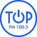 FM Top 100.3 Logo