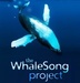 WhaleSong Project Logo