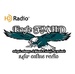 Eagle FM HD Logo