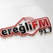 91.7 Ereğli FM Logo