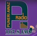 Puneri Awaz 107.8 FM Logo