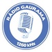 Rádio Gaurama Logo