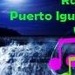 Radio Puerto Iguazu WiFi Logo